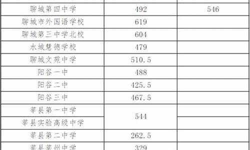 聊城文苑高中录取分数线2021_聊城文启