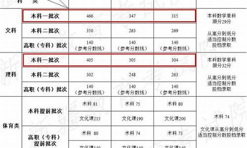 2020年护考新疆线分数查询,2024新