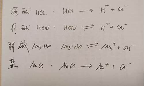 高考电离水解_电离 水解
