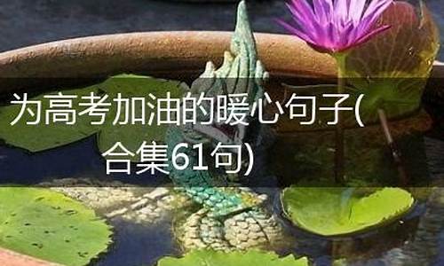 为高考加油的暖心句子-为高考加油的励志句子